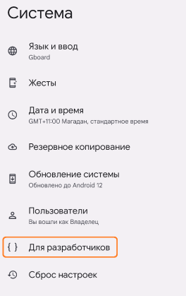 Пункт меню для разработчиков в устройстве