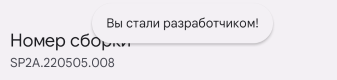 Сообщение об активации режима разработчика в устройстве