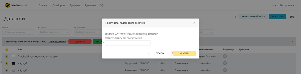 Множественный выбор в реестре датасетов (2).PNG